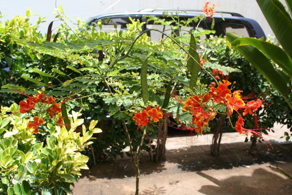 Auberge Keur Diame Dakar Exteriér fotografie