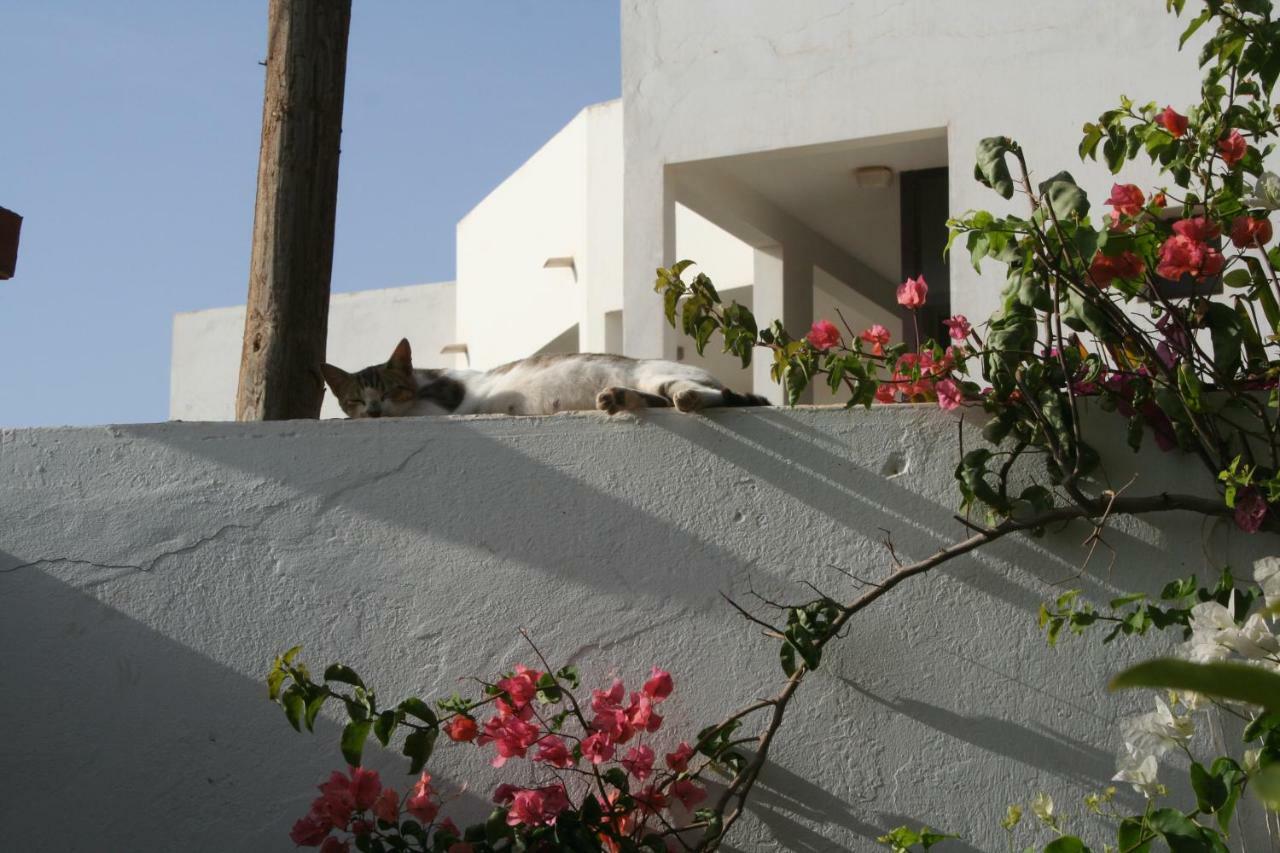 Auberge Keur Diame Dakar Exteriér fotografie